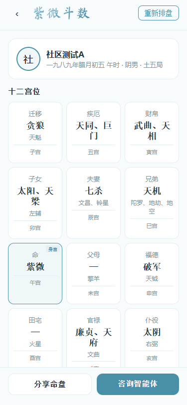 紫微斗数排盘界面